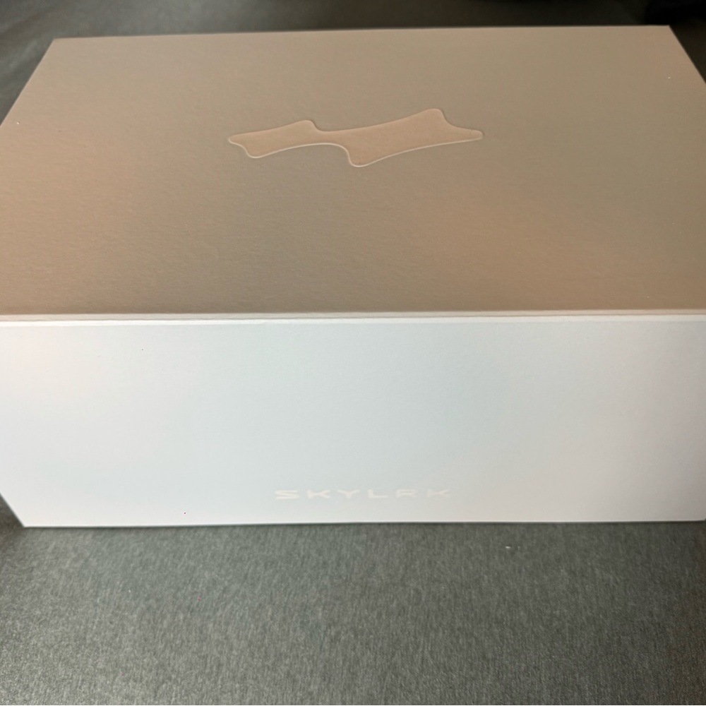 SKYLRK BY JUSTIN BIEBER